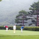 대중제 골프장(9홀) 이미지