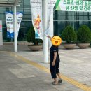 동영산업 | 2024 관상어산업박람회 예약없이 방문한 후기 / 투구게특별전 생물도감 싸인후기