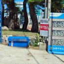 성산농협주유소 이미지