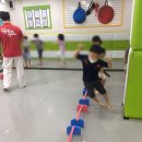 용인대행복한태권도장 이미지