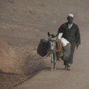 미진여인숙 이미지