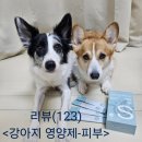 S펫 | (강아지 피부영양제 추천)펫누리 뉴트리선 플랜S 급여 후기