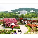 조선대학교 장미원 이미지