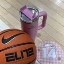 양지체육관 이미지