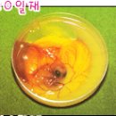새실산업 Daum카페