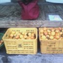 사랑마실 이미지