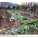 희망농장2 이미지