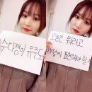 최유주 카카오 검색결과