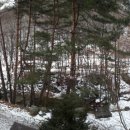 운두령산장