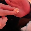 압구정감마약국 | 압구정로데오 술집 :: 이곳은 헌팅포차인가? 압구정 오렌지포차 술집 후기