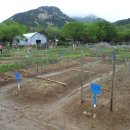 형재농장 이미지