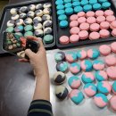 [공지] 대량생산반/무지개롱/뚱카롱/수업후기/수시모집/철이네마카롱/철이네떡케익