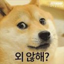 잉글리쉬디자인학원