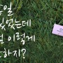 모노클안경 이미지