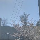 성산마씸