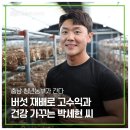 기능성머쉬 이미지