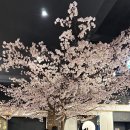 팽PC카페 이미지