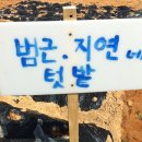 지연2농장 이미지