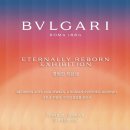 뮤지엄 한미 이미지