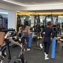 하이엔드핏 PT 이미지