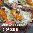 안면도 수산시장 맛집 수산365｜가성비 좋은 해산물 맛집 야장 내돈내산 후기