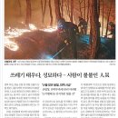 건강부동산공인중개사사무소 이미지