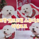 문덕365약국 이미지