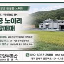 윤중공인중개사사무소 이미지