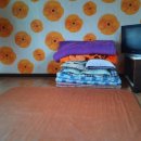 한들민박 이미지