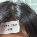 더 진솔한 주유소 | 일상을 곁들인