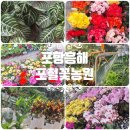 포철꽃농원 이미지