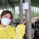 (유)가스온 이미지