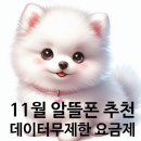 이마트24 녹양청구점 | [공지] 11월 알뜰폰 요금제 비교 유모바일 데이터 무제한 (유심무료)