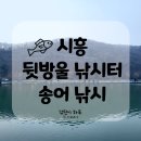 뒷방울 낚시터 | 시흥 뒷방울낚시터 송어 낚시 출조 (f. 낚린이가 10마리 잡은 후기)