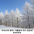 &#34;국내 단 하나뿐인 맛집골목 인천에 있다&#34;... 11월에 꼭 가볼만한 동인천 미식여행 이미지