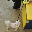 멍무드 살롱 이미지