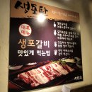 생포탄 티스토리