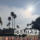 오션이니스프리 | 제주 서귀포 가볼만한 곳 여행 코스! 금오름부터 번네식당 숙소 켄싱턴 리조트 후기