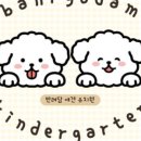 반려담애견유치원 이미지