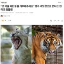 애완동물원 이미지