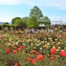 곡성 월봉 이미지