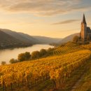 호텔 하이든(HOTEL HAYDN) | 오스트리아 와인 로드 여행:바하우 &amp; 부르겐란트, 도나우 강과 함께 흐르는 와인의 선율