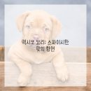 가정식 중국요리 만들기 네이버블로그