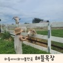가야119지역대 | #하동해뜰목장#하동아이와가볼만한곳#해뜰목장