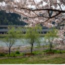 사랑이꽃피는약국 이미지