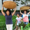 농협 농업박물관 이미지