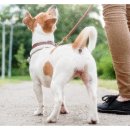 불리빌로우코리아센터 이미지