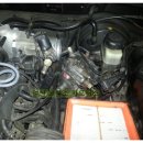 코뿔소카센타 이미지