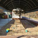 266 | 남양주 바베큐 &lt;숲 266셀프 바비큐장&gt; 방문 후기^^