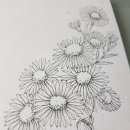 풍경스케치(야간) 이미지